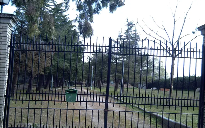 Black ornamental metal fence along a tree lined drive